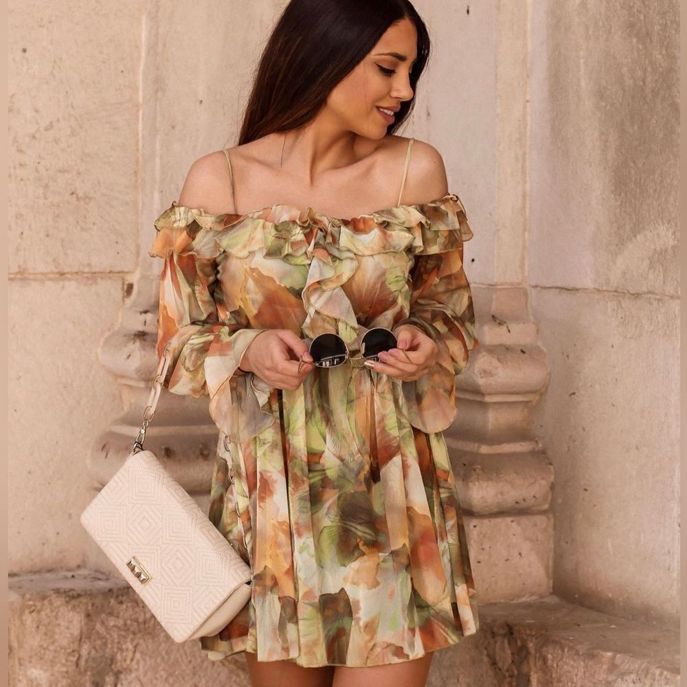 Zara Ruffles Printed Tulle Dress New